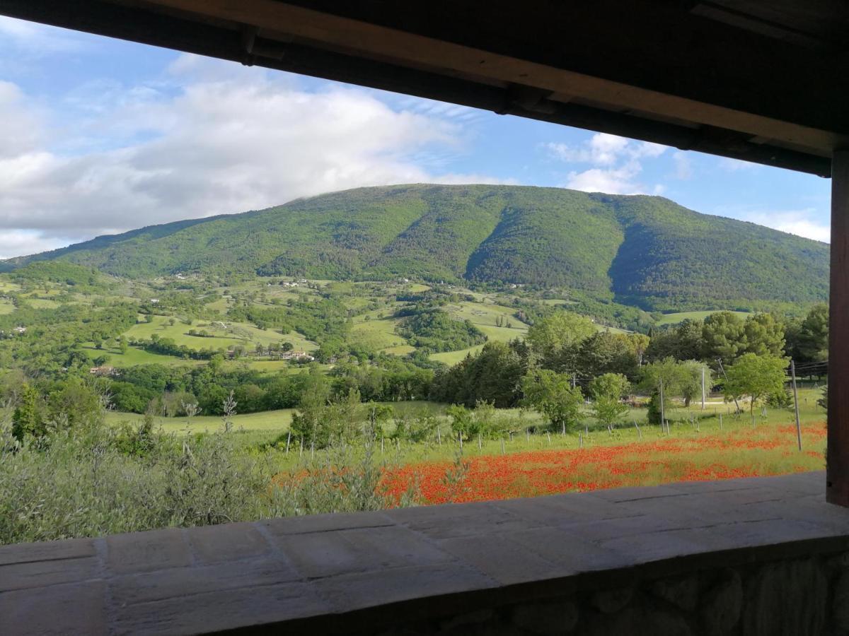 Agriturismo Sole Luna Piano Delle Pieve Extérieur photo